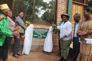 NAIBU WAZIRI YA MALIASILI NA UTALII